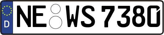NE-WS7380
