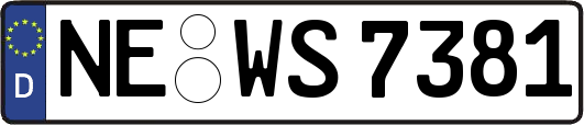 NE-WS7381