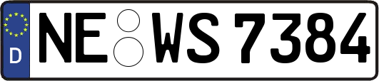 NE-WS7384