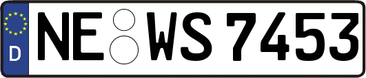 NE-WS7453