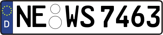 NE-WS7463