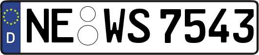 NE-WS7543