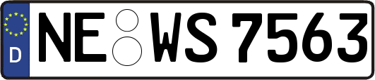 NE-WS7563