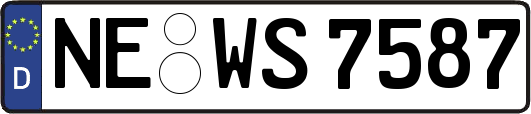 NE-WS7587