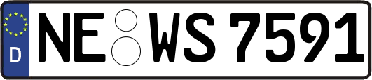 NE-WS7591