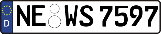 NE-WS7597
