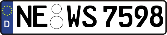 NE-WS7598