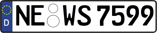 NE-WS7599