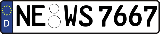 NE-WS7667