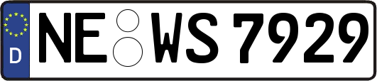 NE-WS7929
