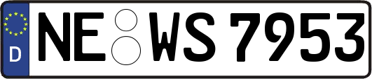 NE-WS7953