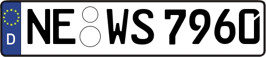 NE-WS7960