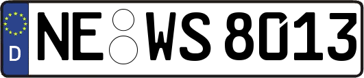 NE-WS8013