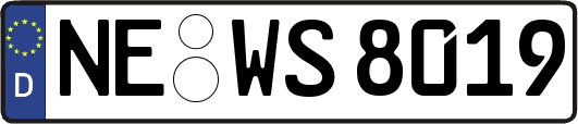 NE-WS8019