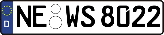 NE-WS8022