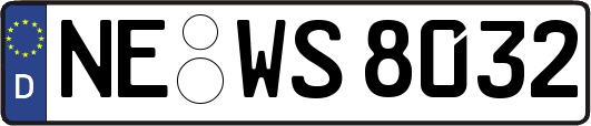 NE-WS8032