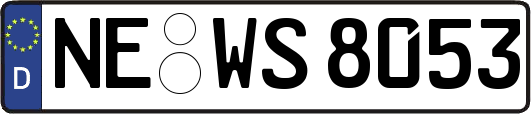 NE-WS8053