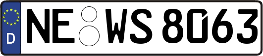 NE-WS8063