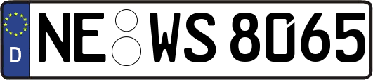 NE-WS8065