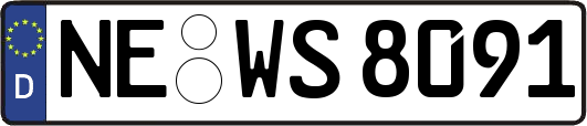 NE-WS8091