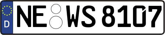 NE-WS8107