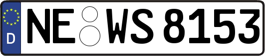 NE-WS8153