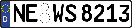 NE-WS8213