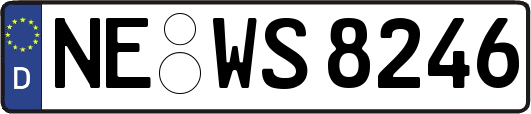 NE-WS8246