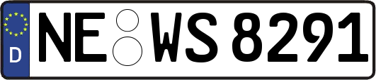 NE-WS8291