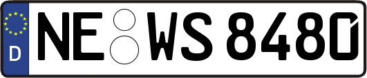NE-WS8480