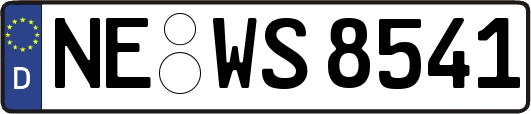NE-WS8541