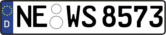 NE-WS8573