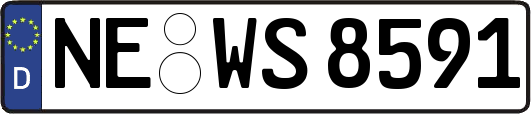 NE-WS8591