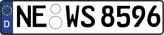 NE-WS8596