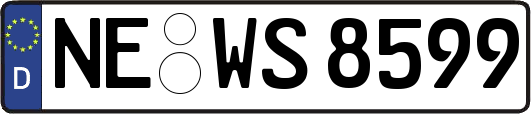 NE-WS8599