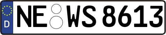 NE-WS8613