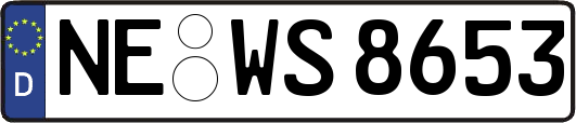 NE-WS8653