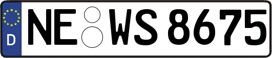 NE-WS8675