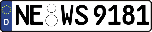 NE-WS9181