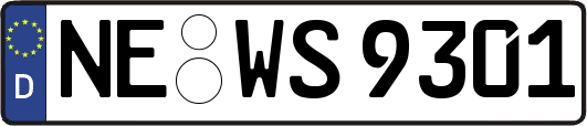 NE-WS9301