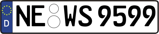 NE-WS9599