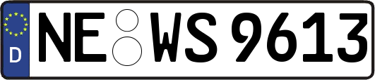 NE-WS9613