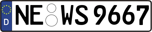 NE-WS9667