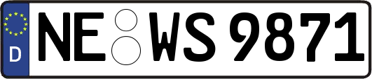 NE-WS9871