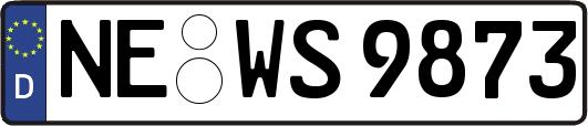 NE-WS9873