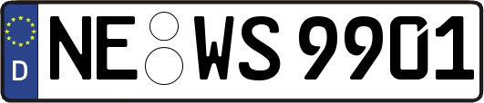 NE-WS9901