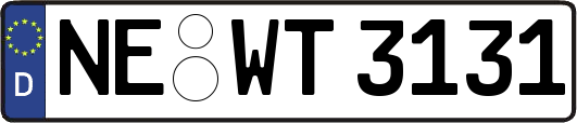 NE-WT3131
