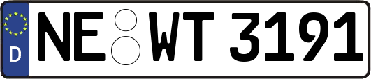 NE-WT3191