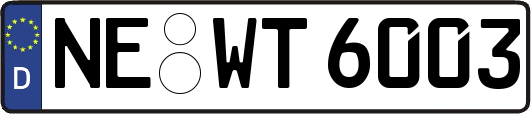 NE-WT6003