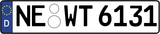 NE-WT6131